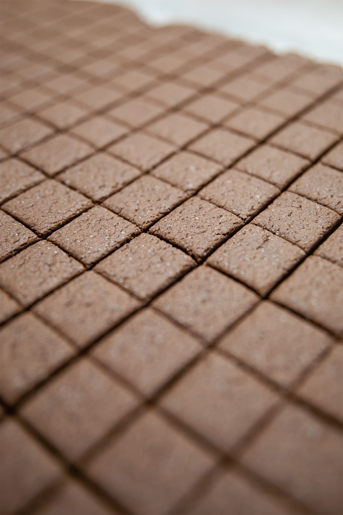 Biscuit sucré cacao en vrac
