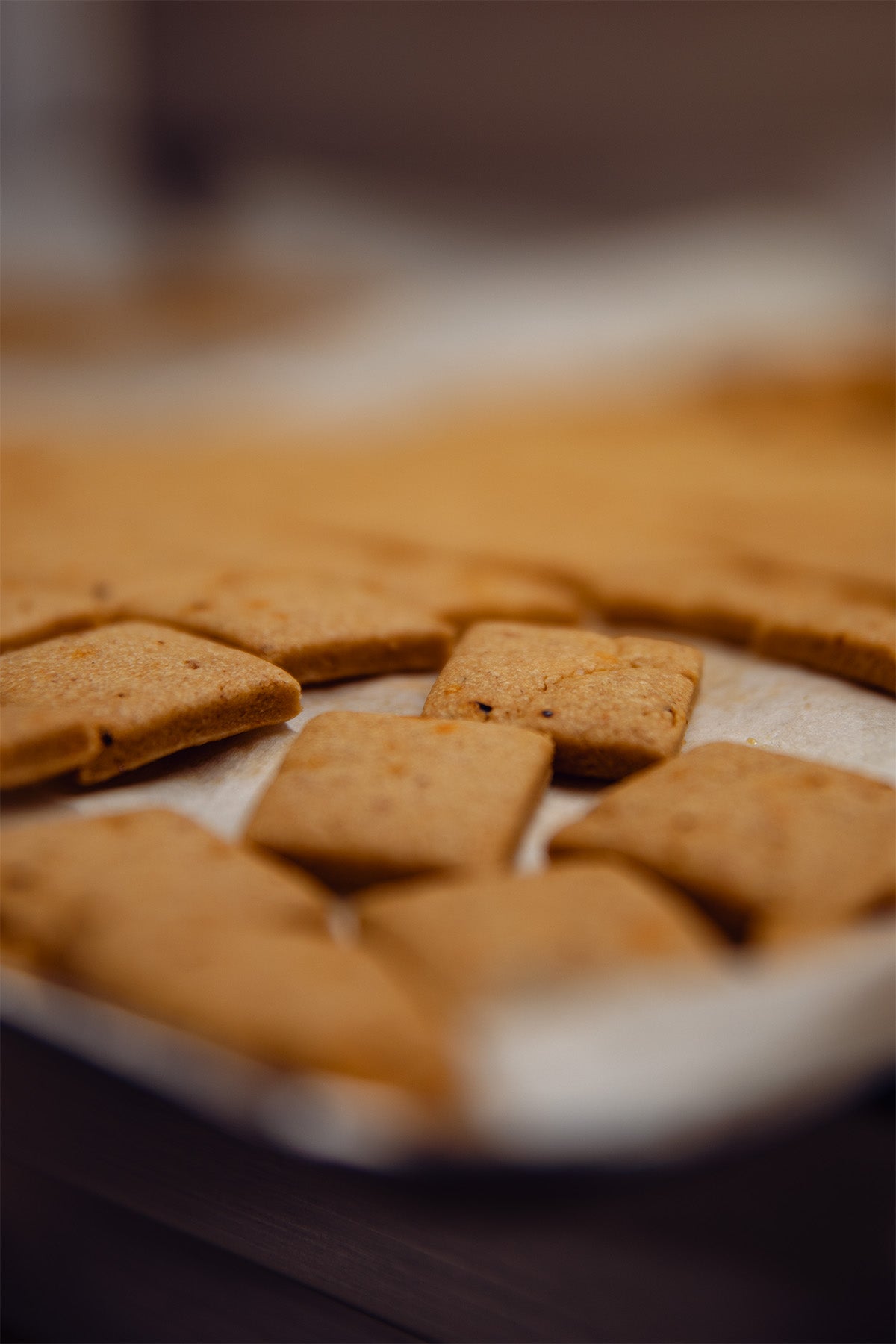 biscuit au Gouda Normand, sortie de four