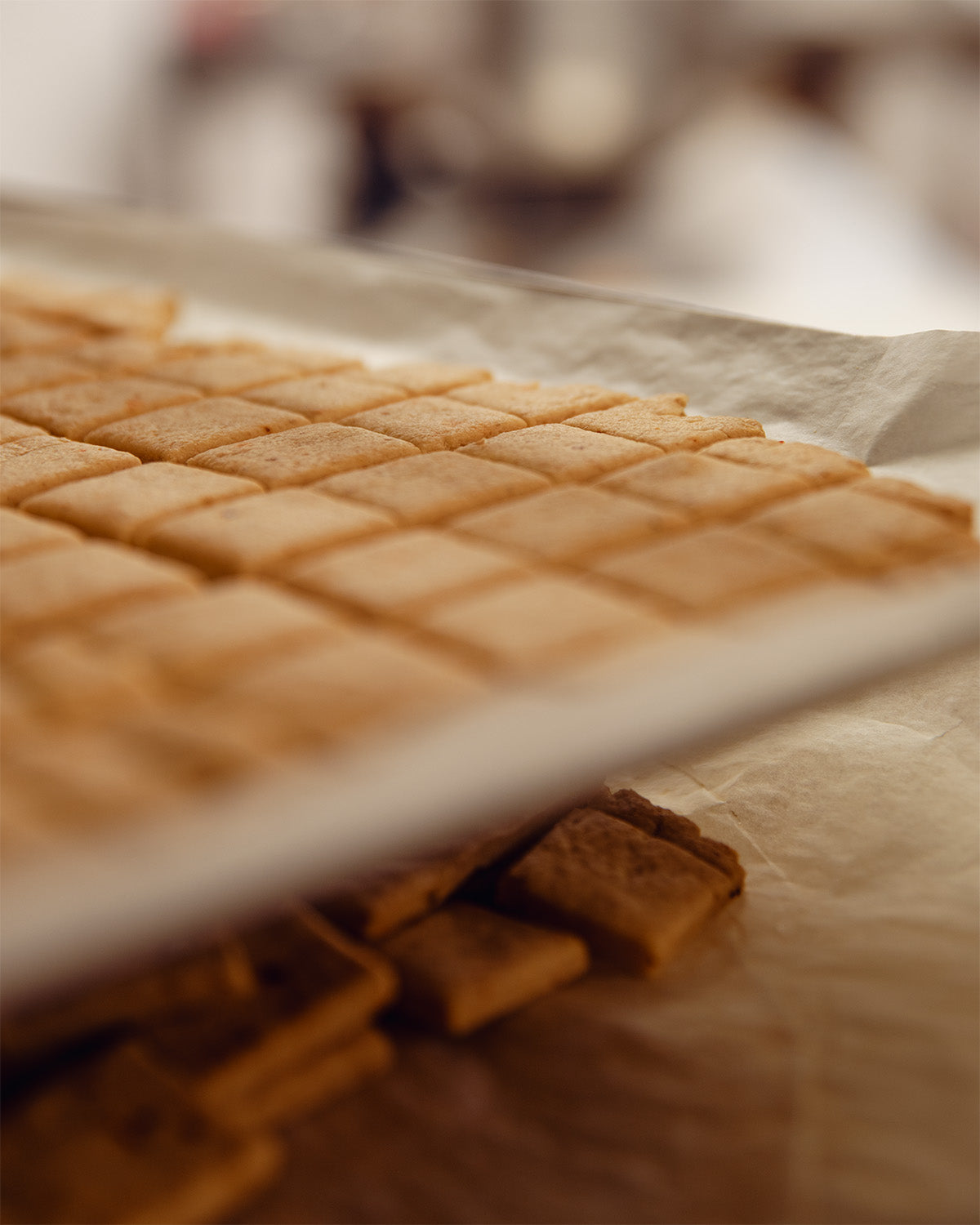 biscuits au parmesan et piment d'espelette