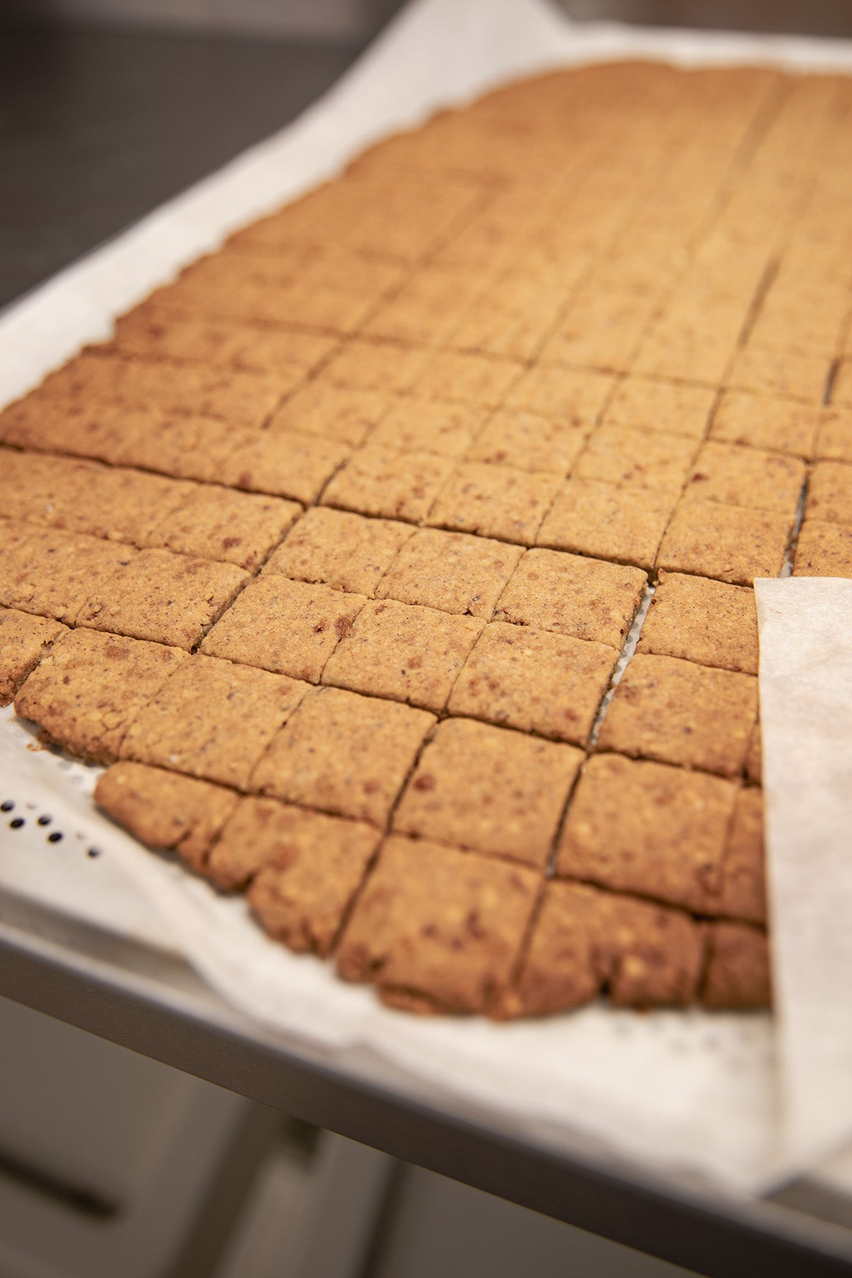 biscuit sans gluten
