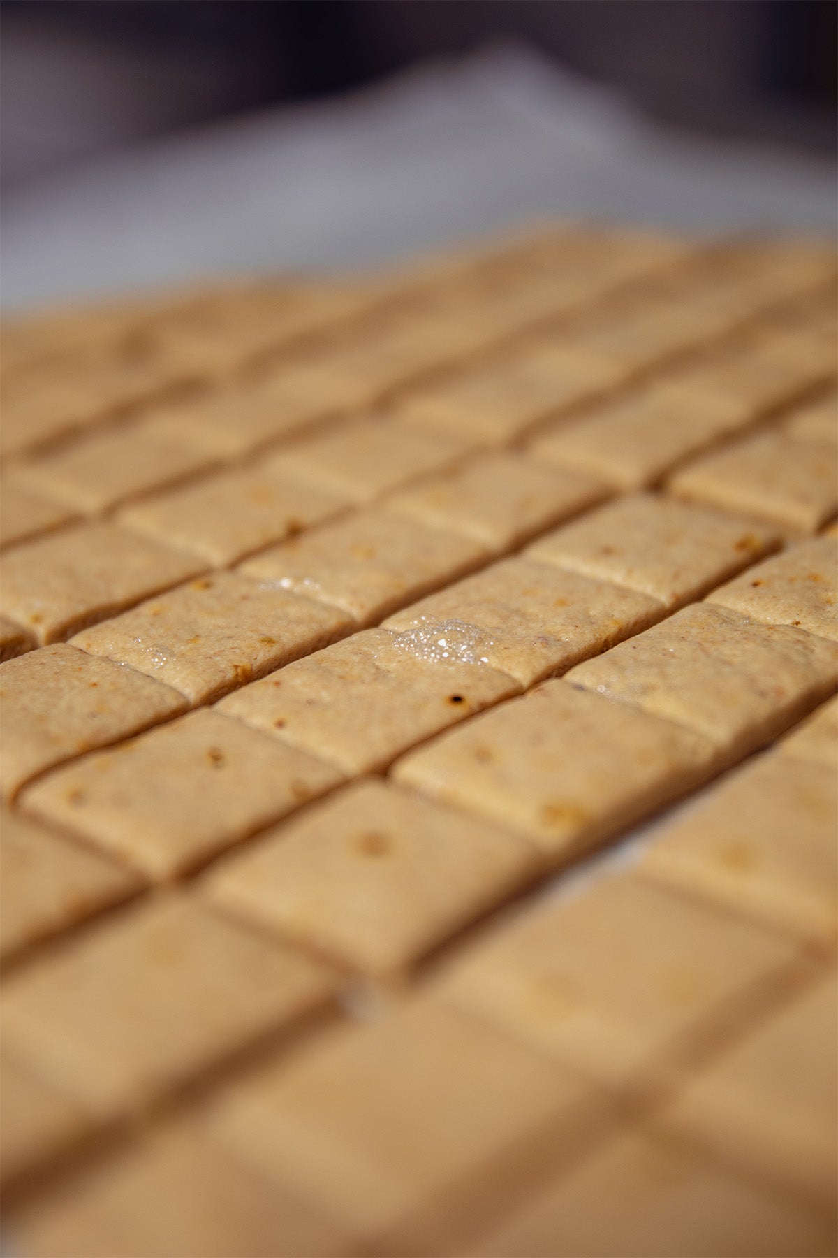 Sortie de four des biscuits Parmesan