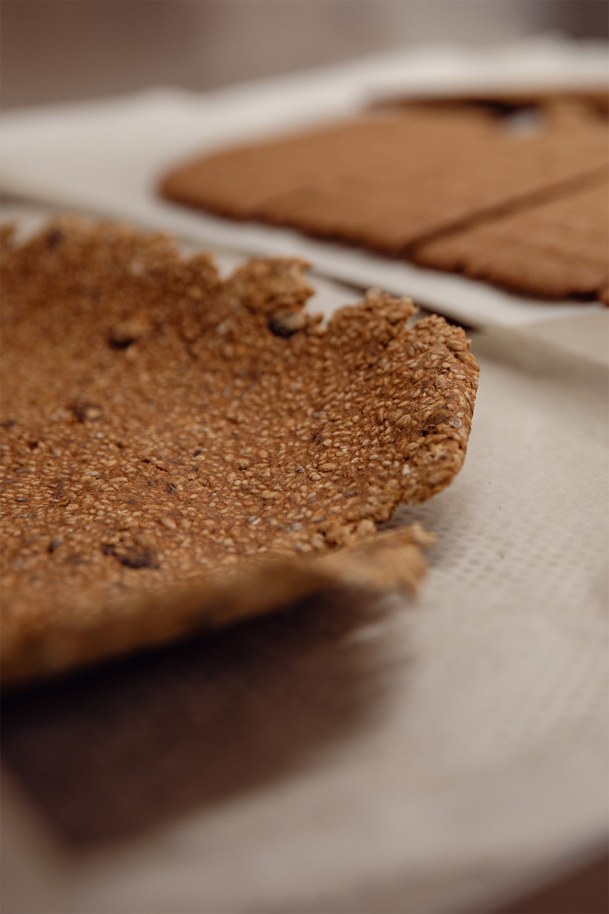 crackers aux graines bio