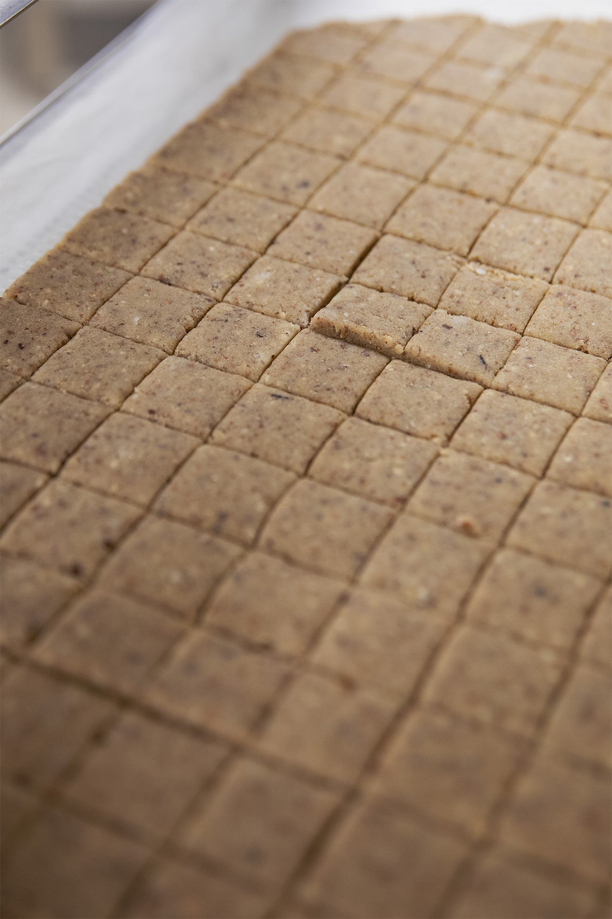 Entrée au four des biscuits noisette sarrasin